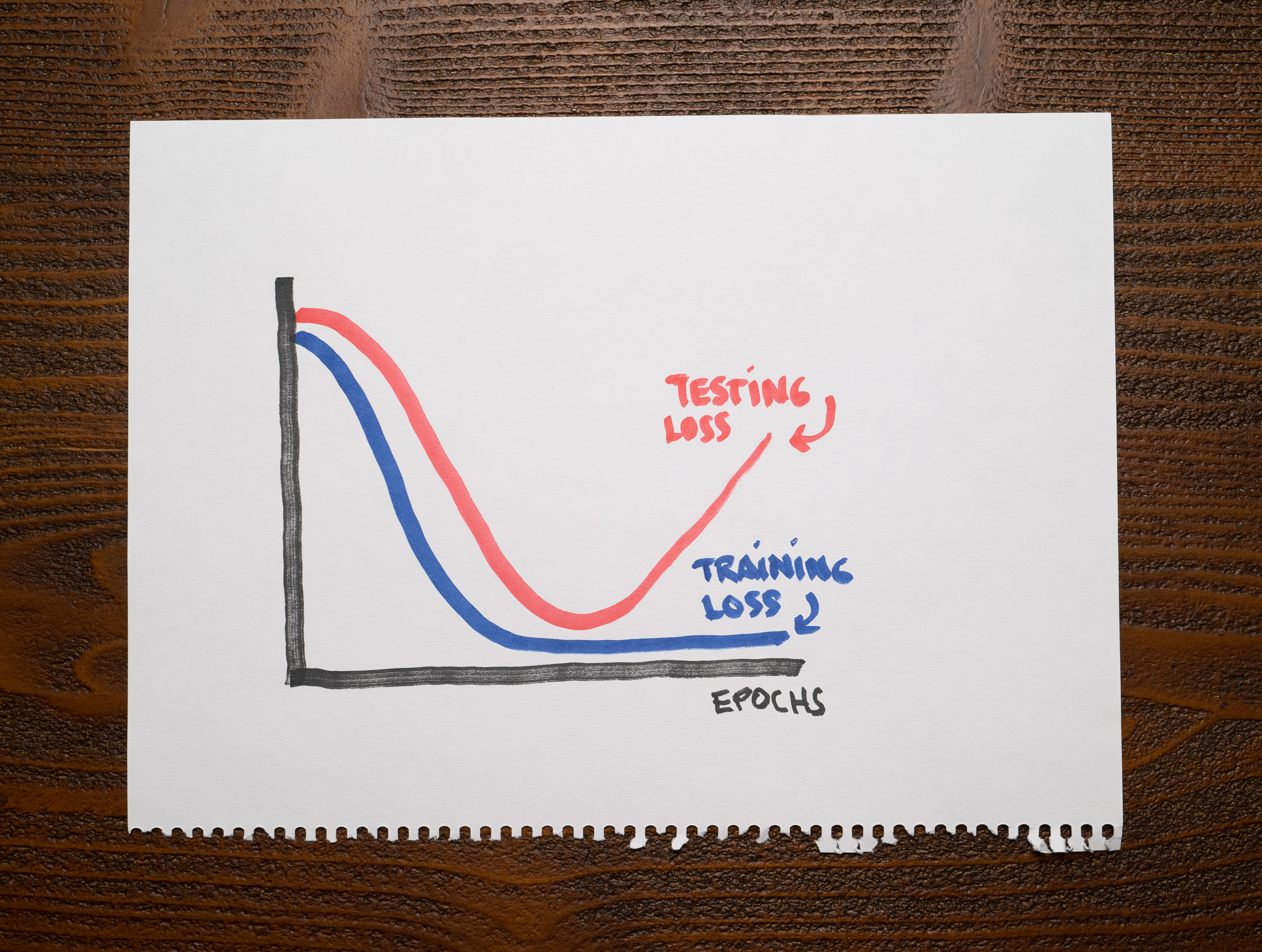 Learning Curves - Testing Loss suddenly increases